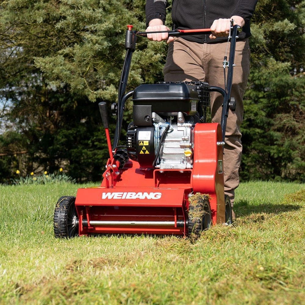 Weibang scarifier